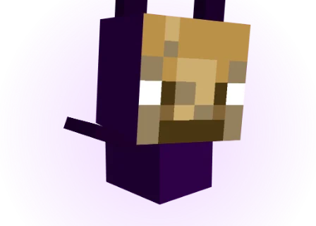 Bat