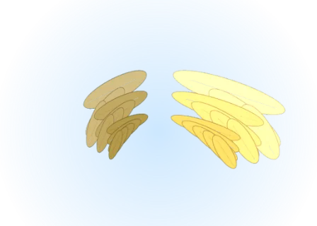 Feather Wings